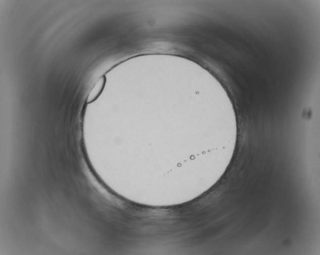 X0000112381479200909241202