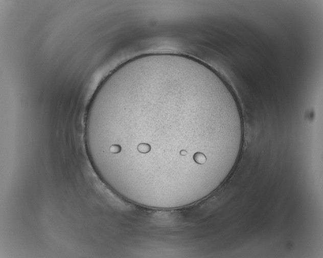 X0000112381480200909241202