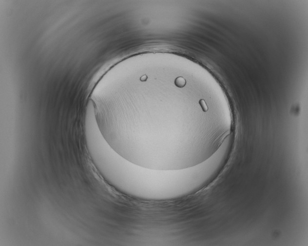 X0000112381481200909241202