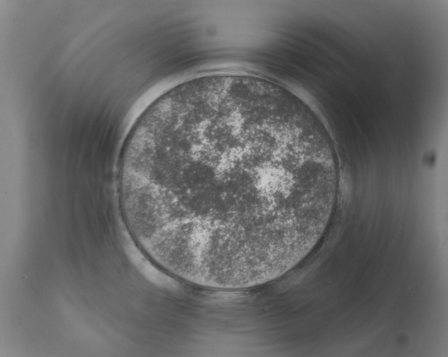 X0000112381482200909241202