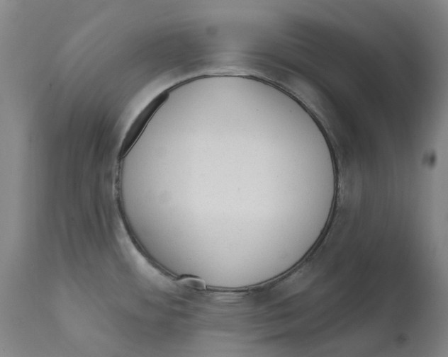 X0000112381484200909241202