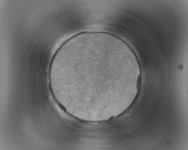 X0000112381485200909241202