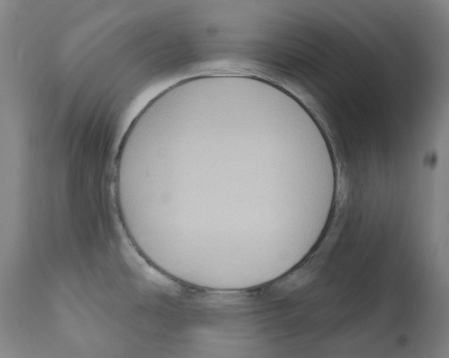 X0000112381486200909241202