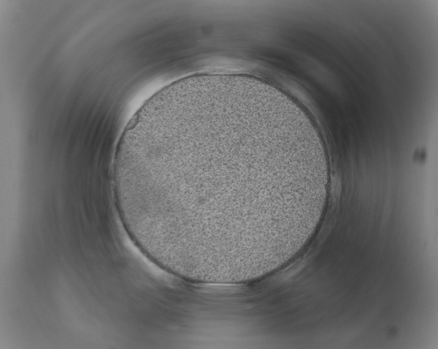 X0000112381487200909241202