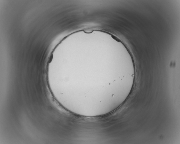 X0000112381488200909241202