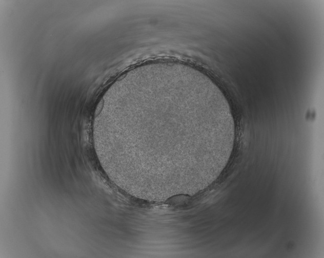 X0000112381490200909241201