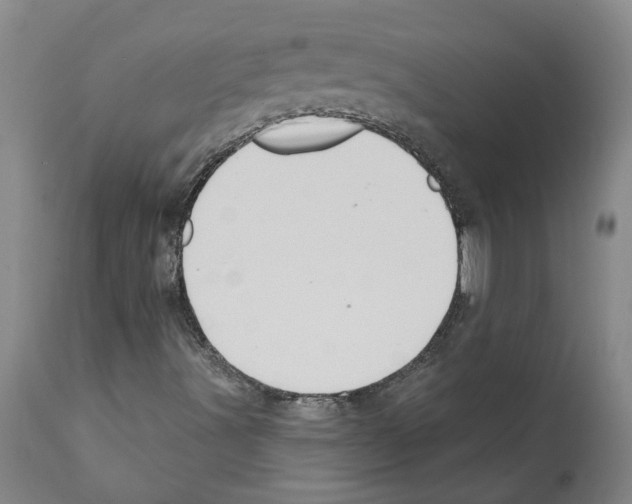 X0000112381491200909241202