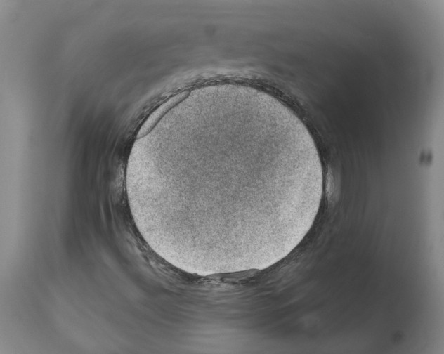 X0000112381492200909241202