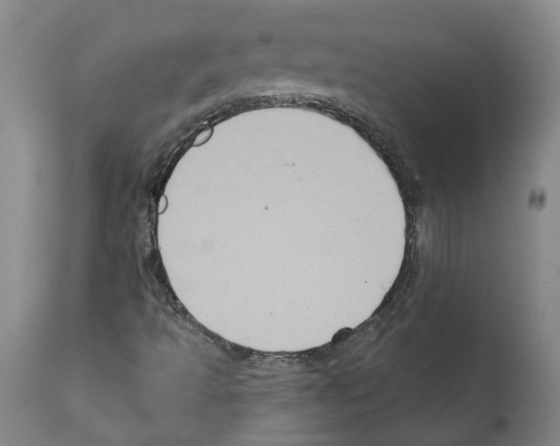 X0000112381493200909241202