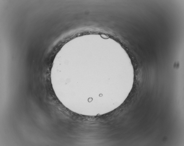 X0000112381495200909241202