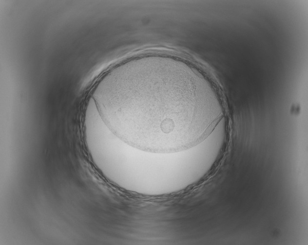 X0000112381496200909241202