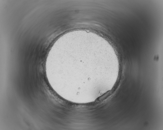 X0000112381497200909241202