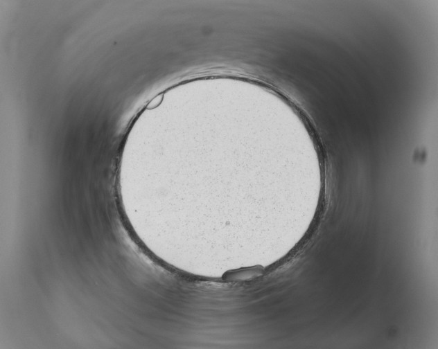 X0000112381500200909241202