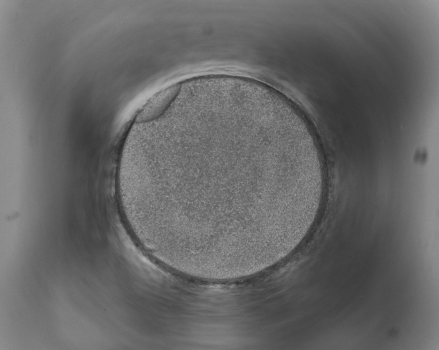 X0000112381504200909241202