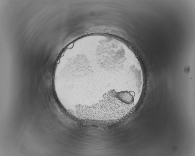 X0000112381505200909241202