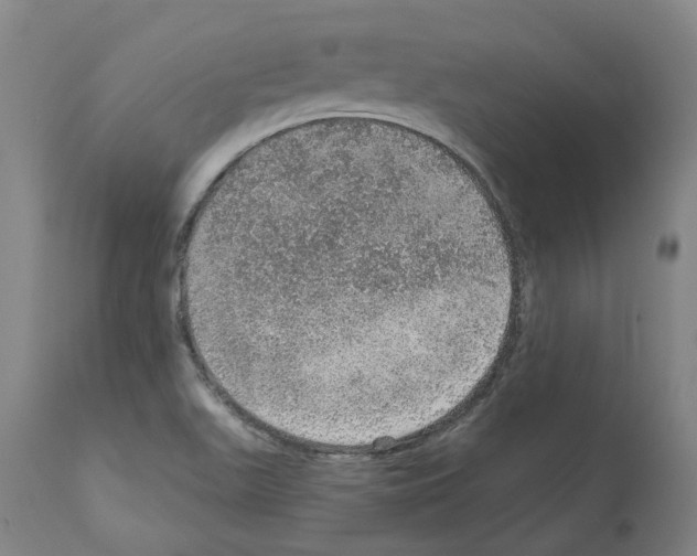 X0000112381511200909241202