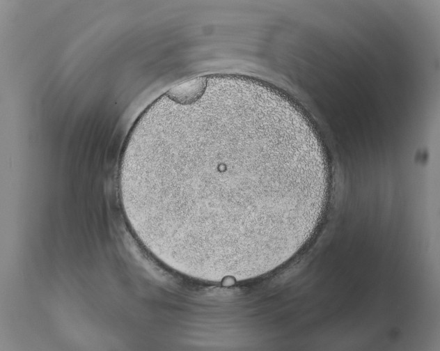 X0000112381513200909241202