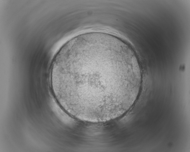 X0000112381514200909241202