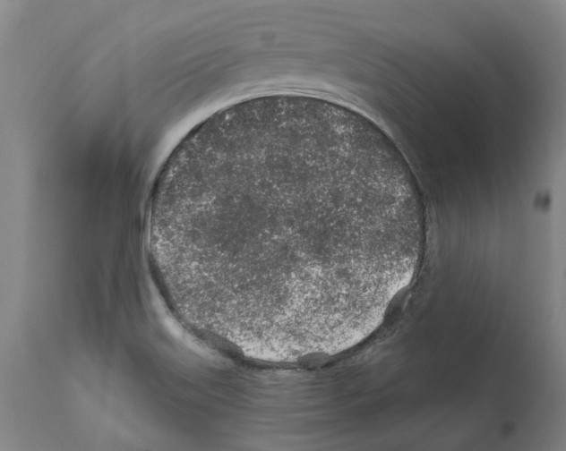 X0000112381515200909241202