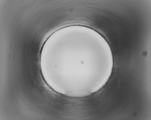 X0000112381516200909241202