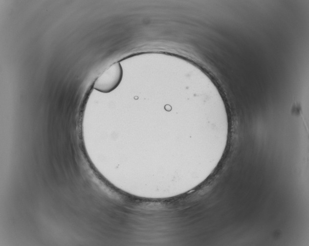 X0000112381517200909241202