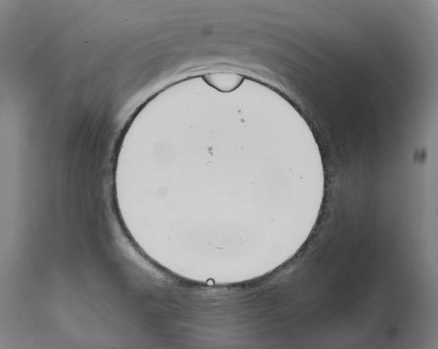 X0000112381518200909241202