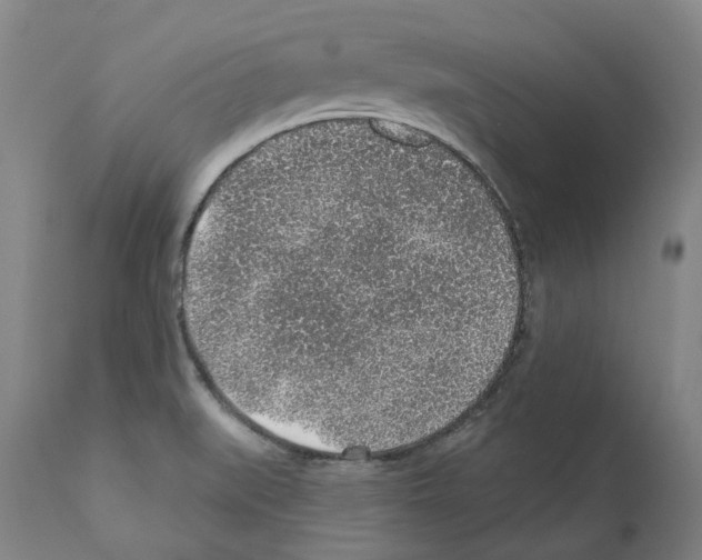 X0000112381519200909241202