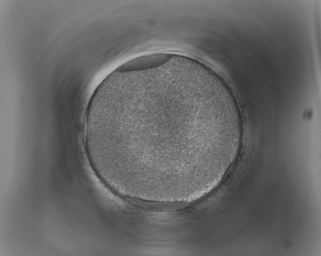 X0000112381520200909241202