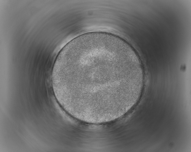 X0000112381521200909241202