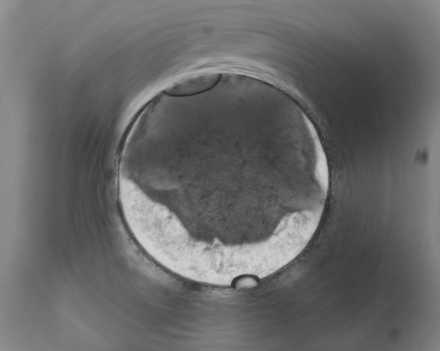 X0000112381522200909241202