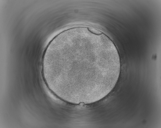 X0000112381523200909241202