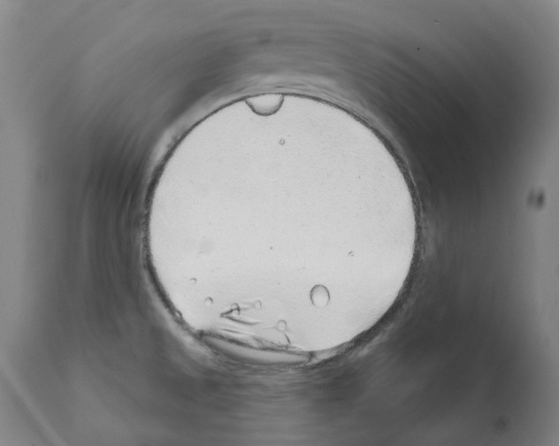 X0000112381525200909241202