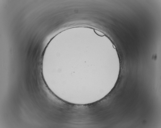 X0000112381526200909241202