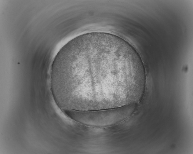 X0000112381528200909241202