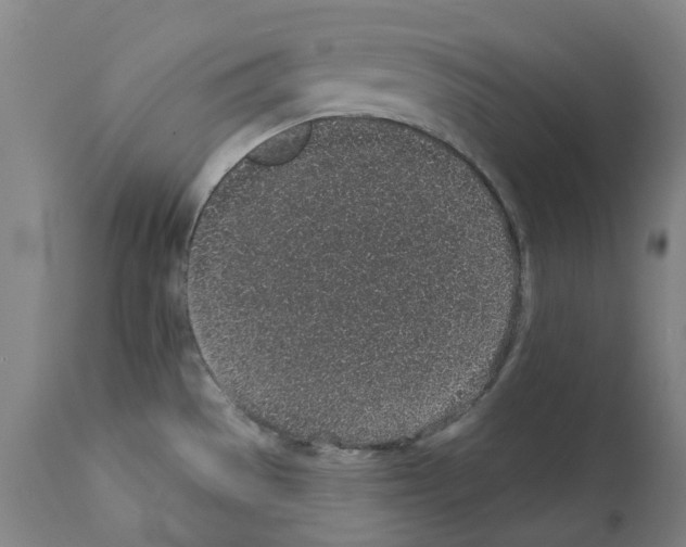 X0000112381529200909241202