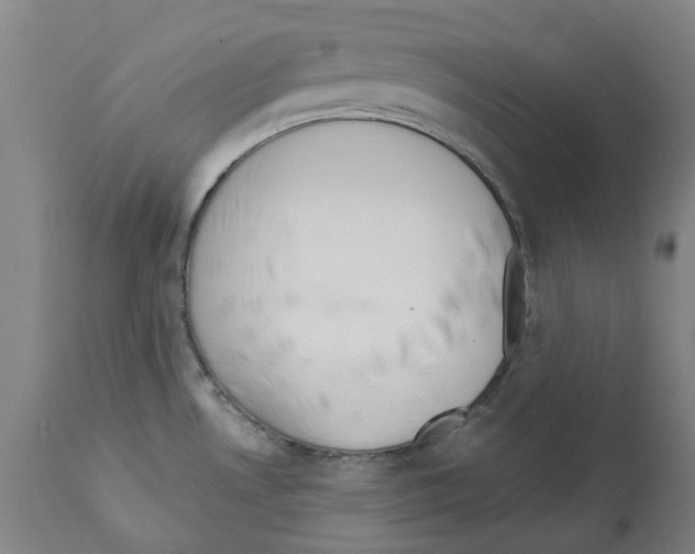 X0000112381530200909241202