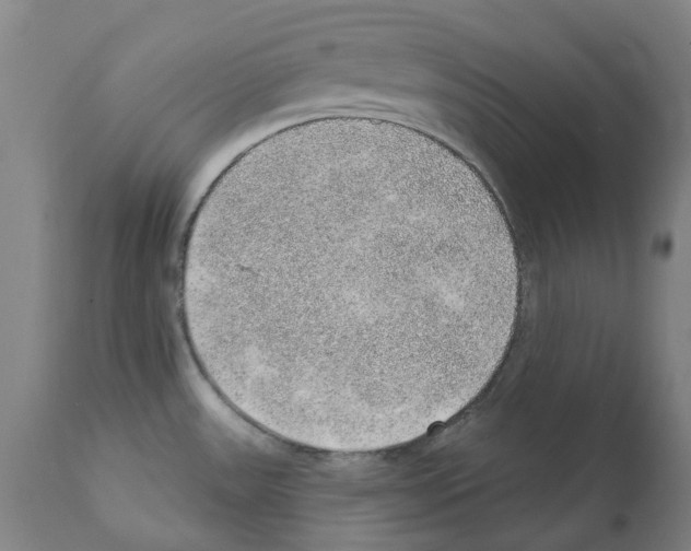 X0000112381531200909241202