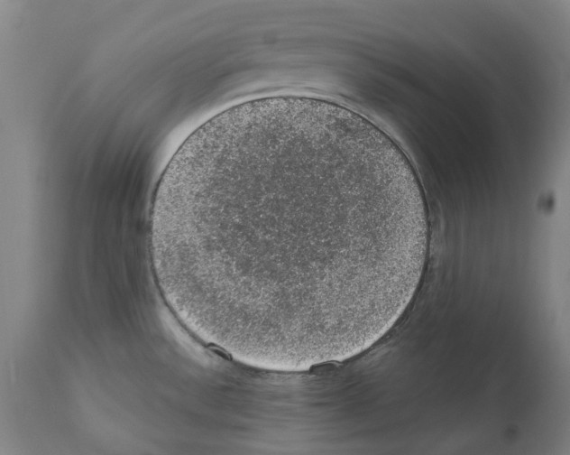 X0000112381532200909241202