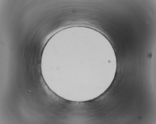 X0000112381534200909241202