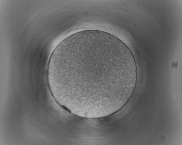 X0000112381536200909241202