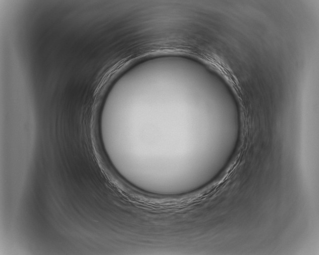 X0000112390001200908131353