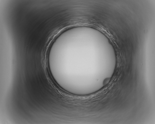 X0000112390002200908131353