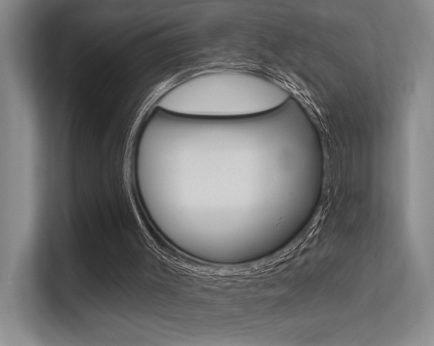 X0000112390003200908131353