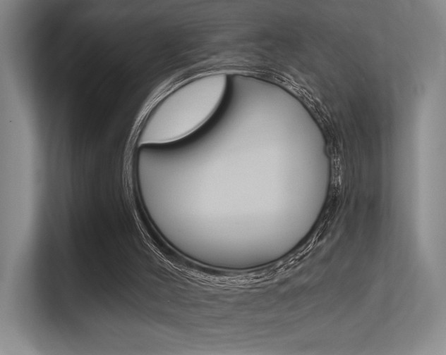 X0000112390004200908131353