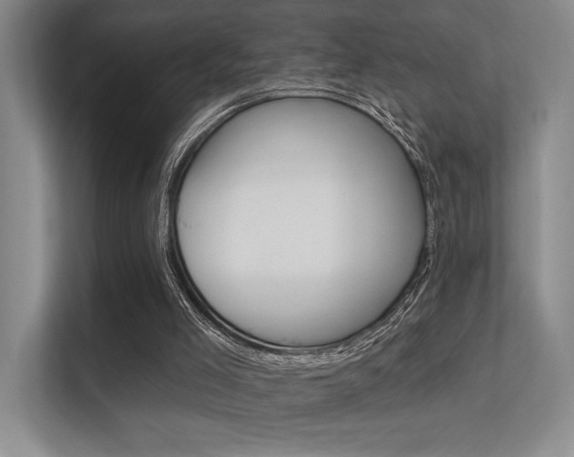 X0000112390005200908131353