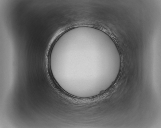 X0000112390006200908131353