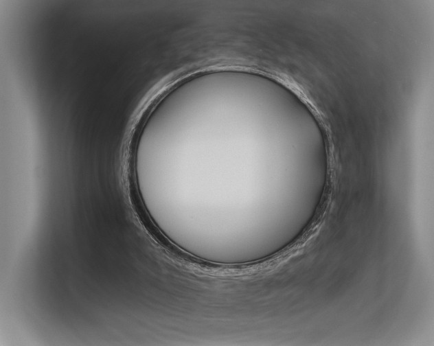 X0000112390007200908131353