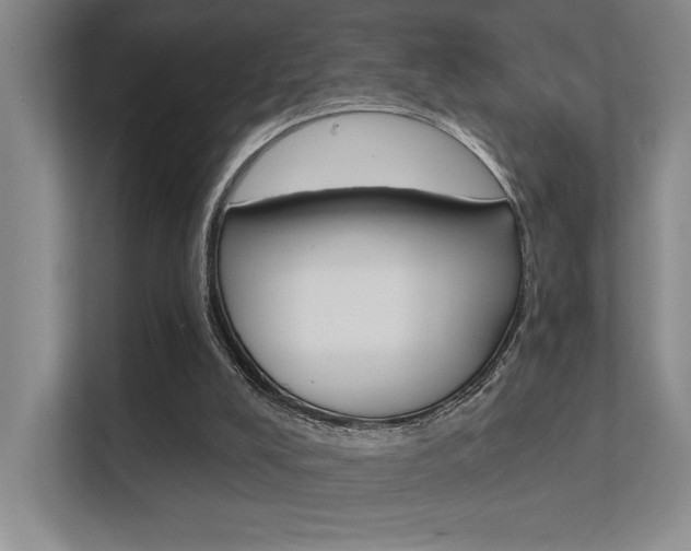 X0000112390008200908131353