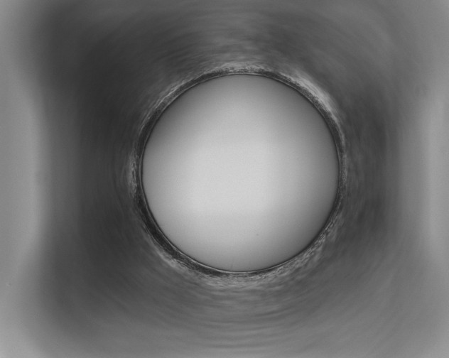 X0000112390009200908131353