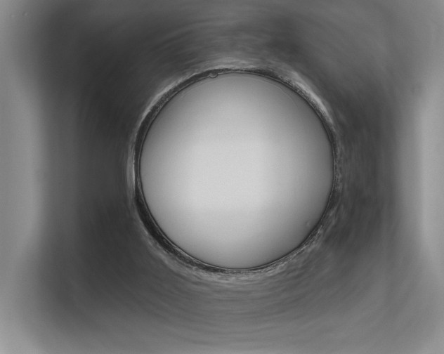 X0000112390011200908131353